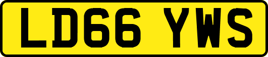 LD66YWS