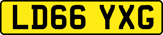 LD66YXG