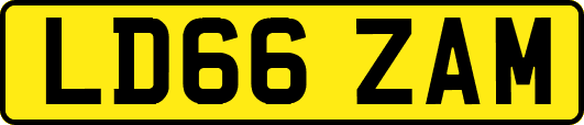 LD66ZAM