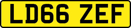 LD66ZEF