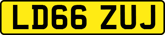 LD66ZUJ