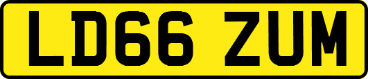 LD66ZUM