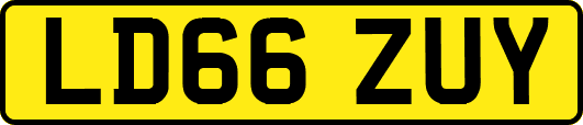 LD66ZUY
