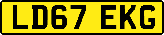 LD67EKG
