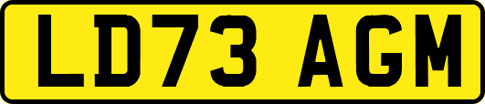 LD73AGM
