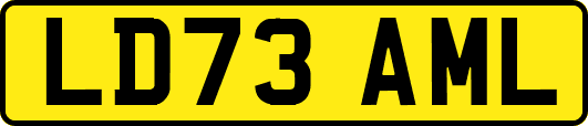 LD73AML