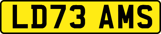LD73AMS