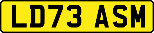 LD73ASM