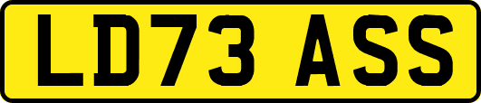 LD73ASS