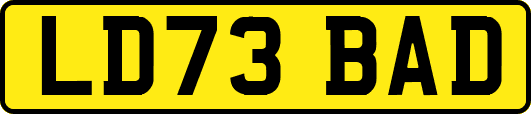 LD73BAD