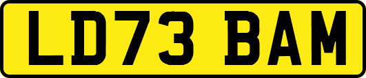 LD73BAM