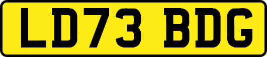 LD73BDG