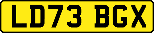 LD73BGX
