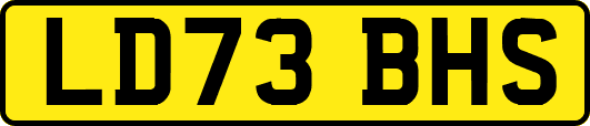 LD73BHS