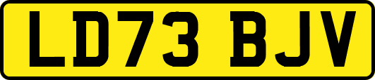 LD73BJV