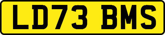 LD73BMS