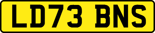 LD73BNS