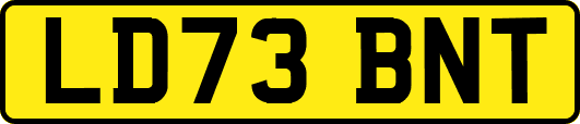 LD73BNT