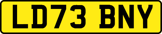 LD73BNY