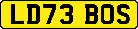LD73BOS