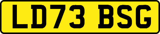 LD73BSG