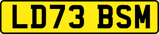 LD73BSM