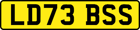 LD73BSS