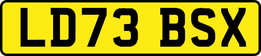LD73BSX