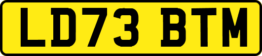 LD73BTM
