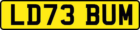 LD73BUM