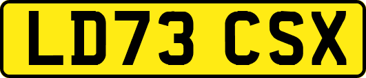 LD73CSX
