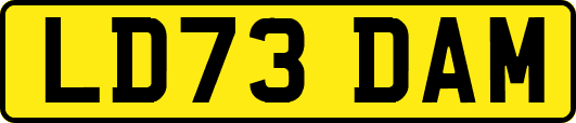 LD73DAM