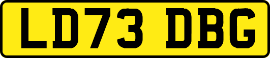 LD73DBG