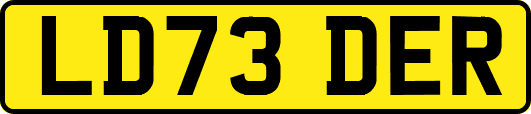 LD73DER