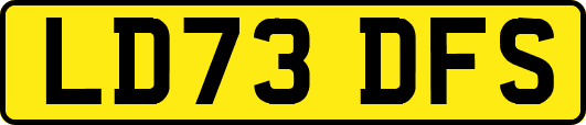 LD73DFS