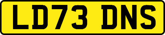 LD73DNS