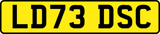 LD73DSC
