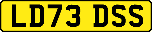 LD73DSS