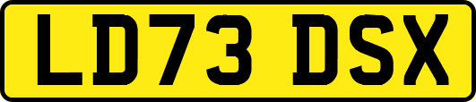 LD73DSX