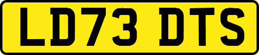 LD73DTS
