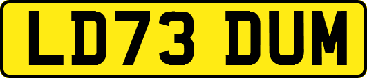 LD73DUM