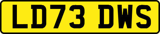 LD73DWS