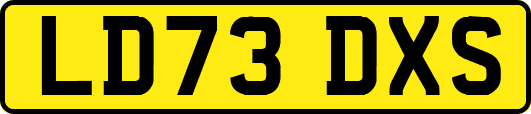 LD73DXS