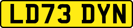LD73DYN