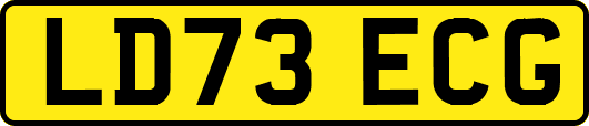 LD73ECG
