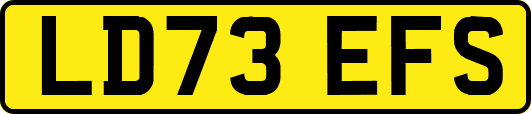 LD73EFS