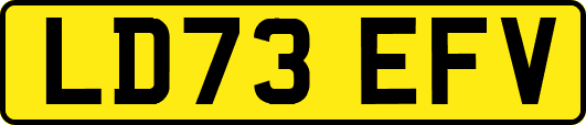 LD73EFV
