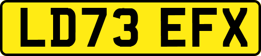 LD73EFX
