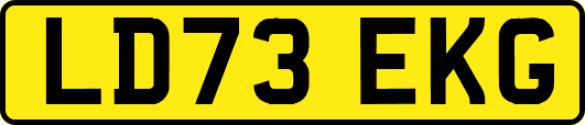LD73EKG