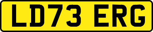 LD73ERG